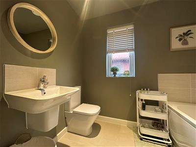 Picture 21